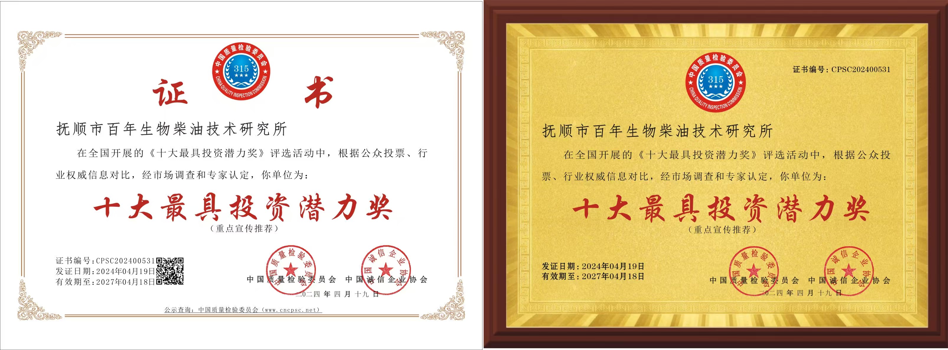 十大最具投资潜力奖